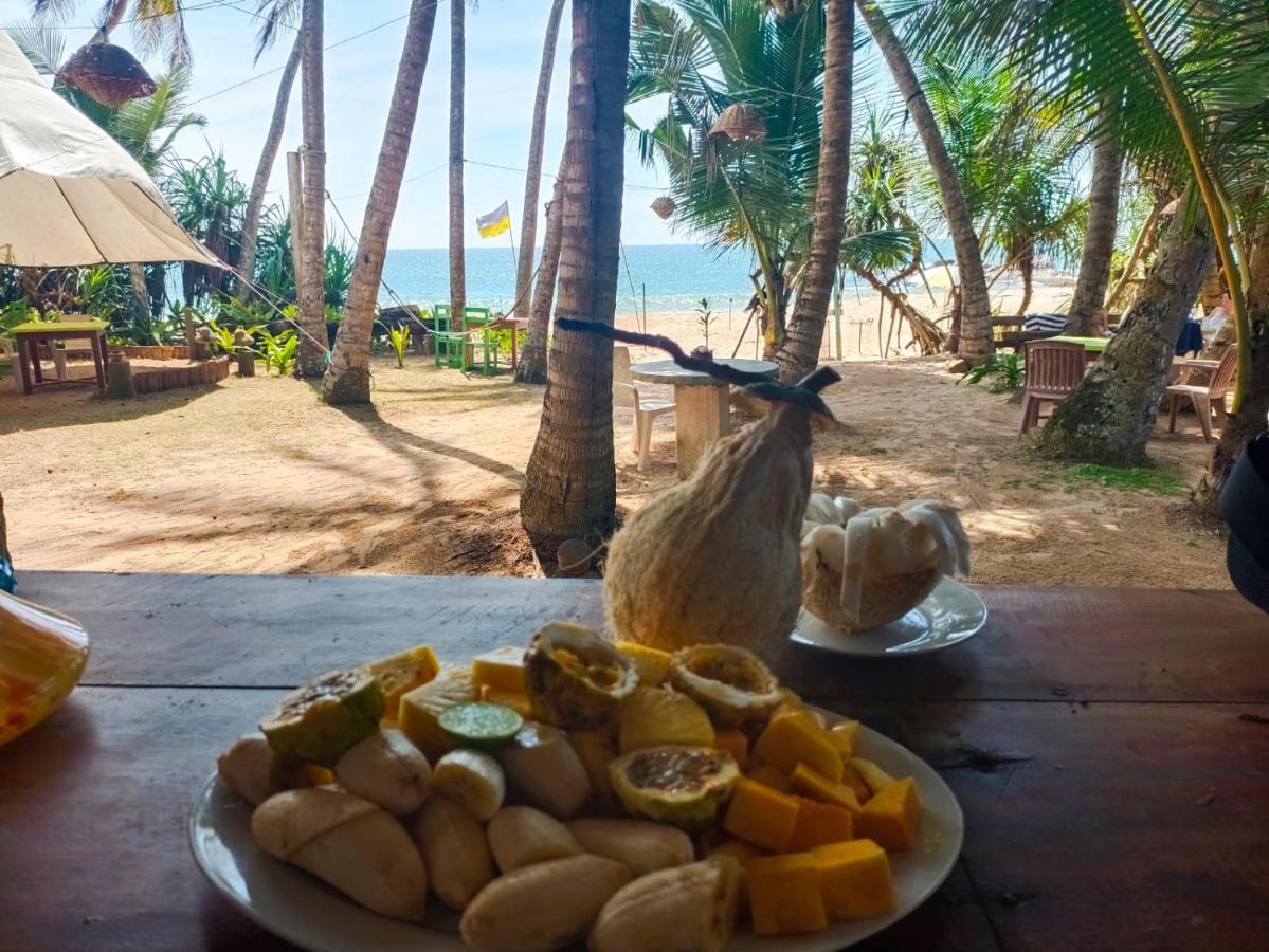 Villa La Kurumba أمبالانغودا المظهر الخارجي الصورة